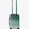 The Small Carry-On Roller in Wicked Green