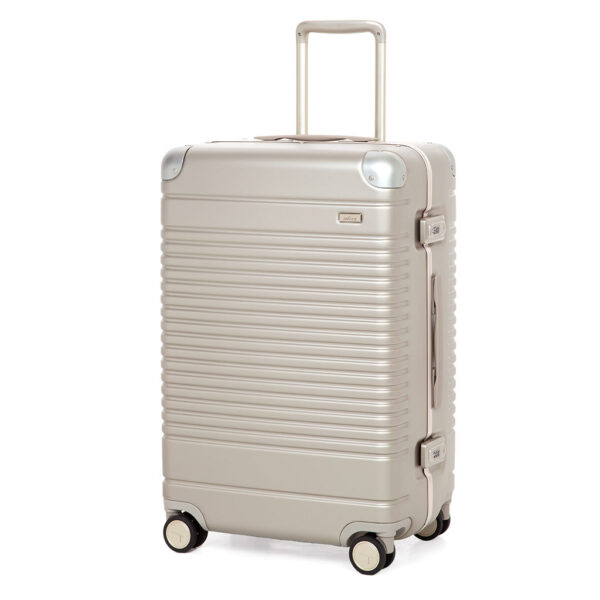 The Frame Check-In Medium